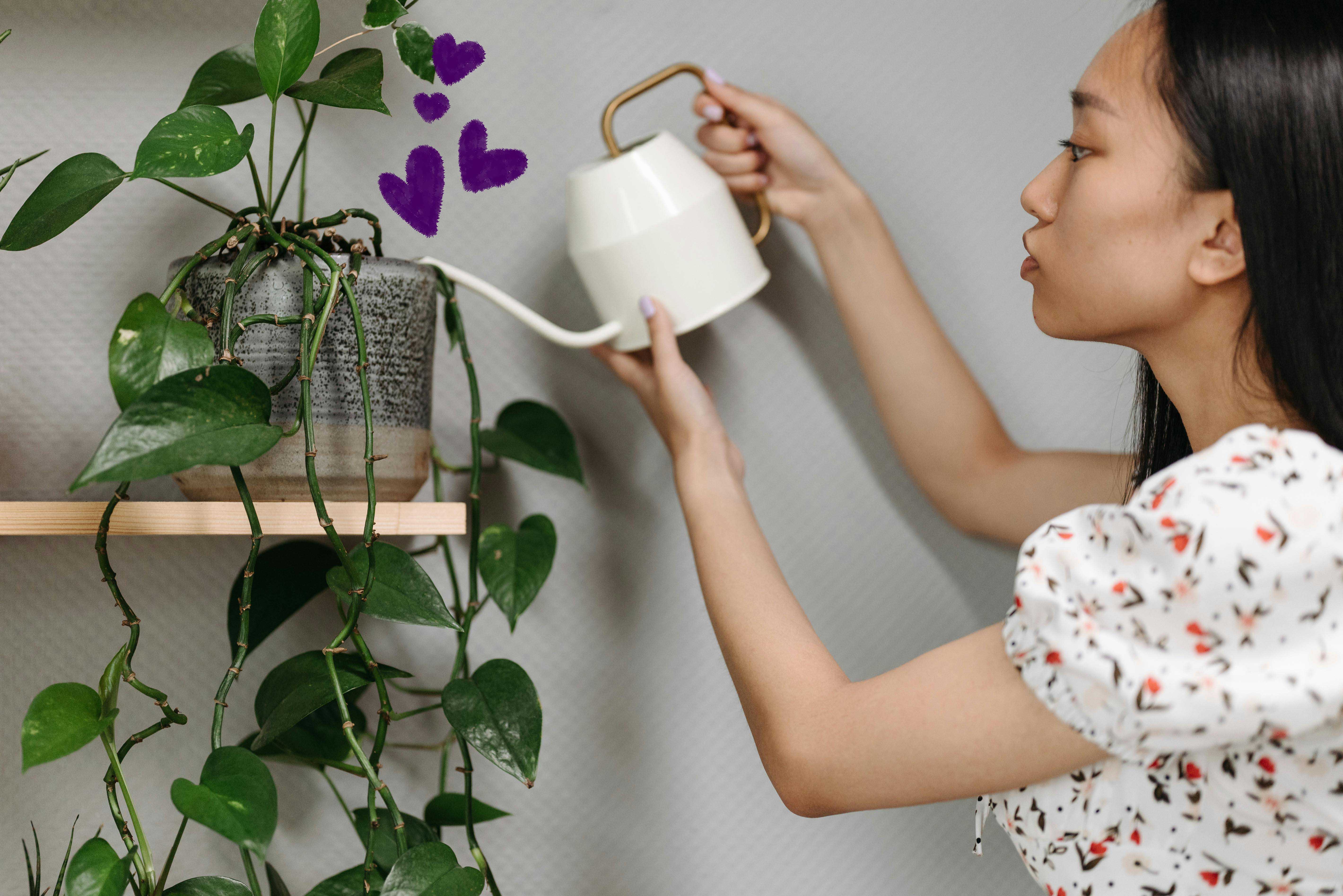 Care for your UX resume so it can bloom like a houseplant.